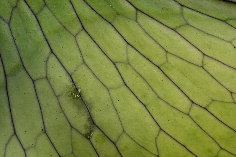 2007 05 14 Fraser Island 179_DXO.jpg